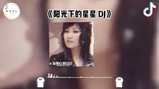 阳光下的星星 Dj ♪ - （抖音版 2025）『抖音 | TikTok Remix』【動態歌詞】【纯音乐】