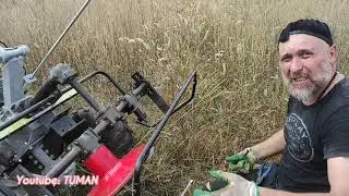 Нежданчик! с мотоблоком и роторной косилкой. Взошла амброзия с люцерной.