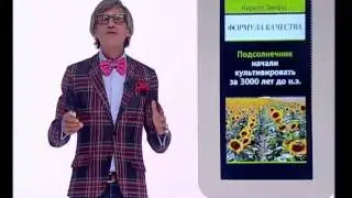 Семечки От Мартина. «Формула качества» с Кириллом Эйхфусом