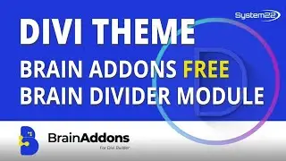 Divi Brain Addons Free Divi Plugin Brain Divider Module 👍