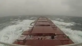 M v Topaz  Storm