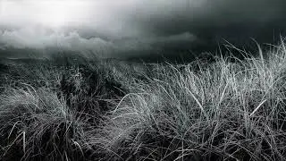 I'm Gone / Levan Lomidze & Blues Cousins (lyrics)