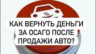Как вернуть деньги за полис ОСАГО после продажи автомобиля?