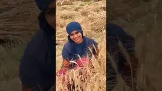 सत्य बात 👍🤔 #shortvideo #shorts