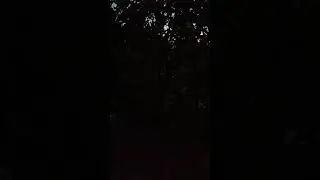 Сирена воздушной тревоги.