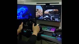 Playing Dirt Rally 2.0 with PXN-V10, Force Feedback Racing Wheel.