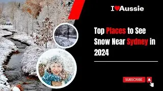 Top Places to See Snow Near Sydney | 2024 | I Luv Aussie