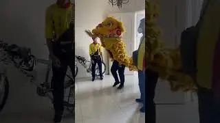 The Best Chinese Lion Dances 2022.