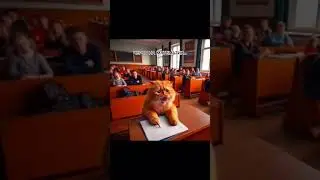 #математик
