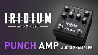 Strymon Iridium – Punch Amplifier Examples – Demo