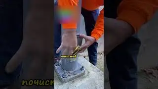 Нашёл клад🐿️