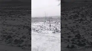 Весенний снег...