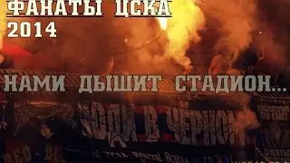 Фанаты ЦСКА в 2014 году