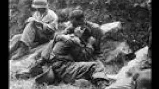 Before You Go - Veterans Tribute and Thank You