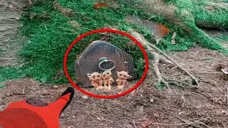 DUENDE REAL CAPTADO corriendo en la vida real | Vídeos de DUENDES REALES