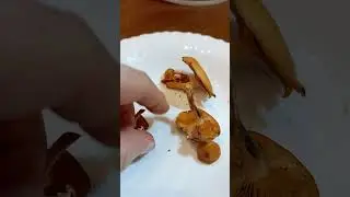 Омфалот масличный или маслиновый.