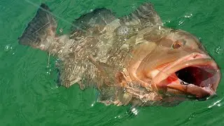 Simple Tip To Save Time When Grouper Fishing (Grouper Rig Storage Tip)