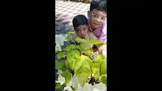 ONAM Celebration 2024 in TVM 🌺🌸💮🏵️🌻🌼🌹