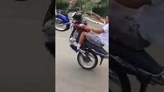 Paraisópolis grau e corte