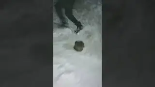 ⚠️ОТПРАВЛЯЕМ КАСТРЮЛЮ В КОСМОС С ПОМОЩЬЮ МОЩНОЙ ПЕТАРДЫ 🐍КОБРА🐍