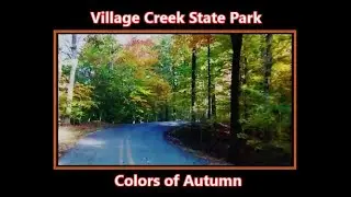 Village Creek State Park | Fall Foliage: The Colors of Autumn