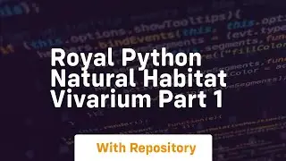 Royal python natural habitat vivarium part 1