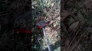 Палка-собиралка для орехов