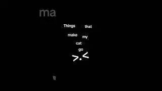 Things that make my #cat go 😖