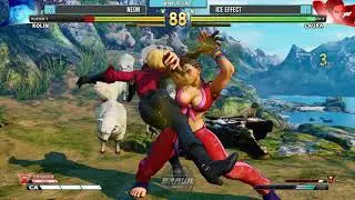 Gwinnett Brawl - The Weekly Dojo Round 49 - SFV
