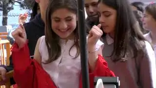 Teddy Picker - Arctic Monkeys cover by Liza Tsereteli