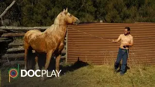 This Way of Life | Official Trailer | DocPlay