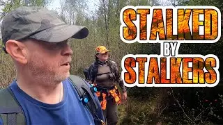 Stalked by Stalkers on a forest walk at Loch Ard forest in the Lomond and Trossachs area of Scotland