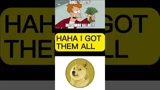 random doge meme found by random user pt44 