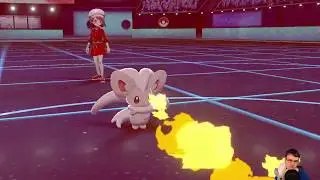 Pokemon Schild/Schwert Online: Weibliche Pokemon Offensive