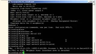 ospf network types wthout DR