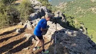 Estamos viendo un buitre leonado antes de llegar al nacimiento del río Borosa 🌲🪨🌳