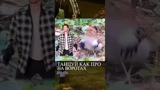 Про на Воротах  в Dead by daylight 🧩