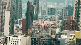 Hong Kong 🇭🇰