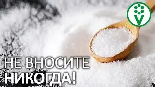 ХУДШАЯ ПОДКОРМКА ВСЕХ ВРЕМЕН! Забудьте о ней навсегда!