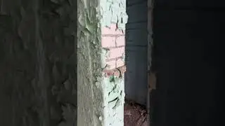 An asylum before and after abandonment 