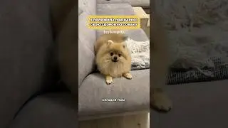 Не зятягивайте с этим 