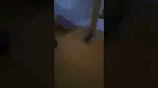 20 декабря 2023 г.