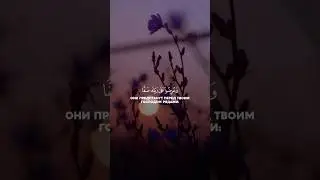 Все видео в хорошем качестве есть в телеграмм канале, ссылка в шапке профиля!!