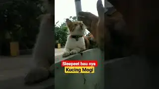 Slepeet baunya 😂|