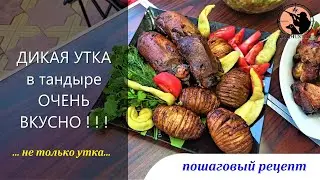 Дикая утка в тандыре. Рецепт и процесс приготовления утки, шашлыка, овощей и лепешек в тандыре.