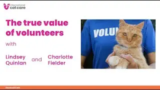 The true value of volunteers
