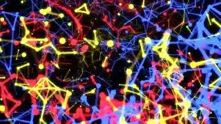 ALIGN - Root Vibration [OFFICIAL VISUALIZER]