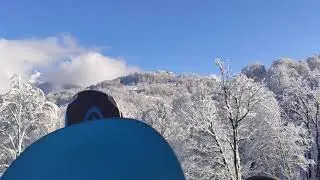 Роза хутор