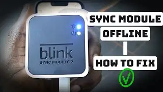 Blink Sync Module Offline [How to Fix]