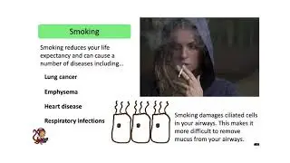 Science for Life: The Effects of Drugs on the Body